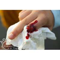 Kunstbloed stollend 100 ml