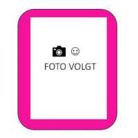 Glitter tattoo stencilset Huisdieren