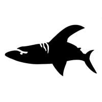 A45 Shark