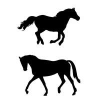 Duo stencil paard