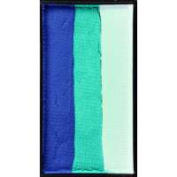 Splashing Dolphin Splitcake