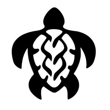 A44 Hawaii Turtle