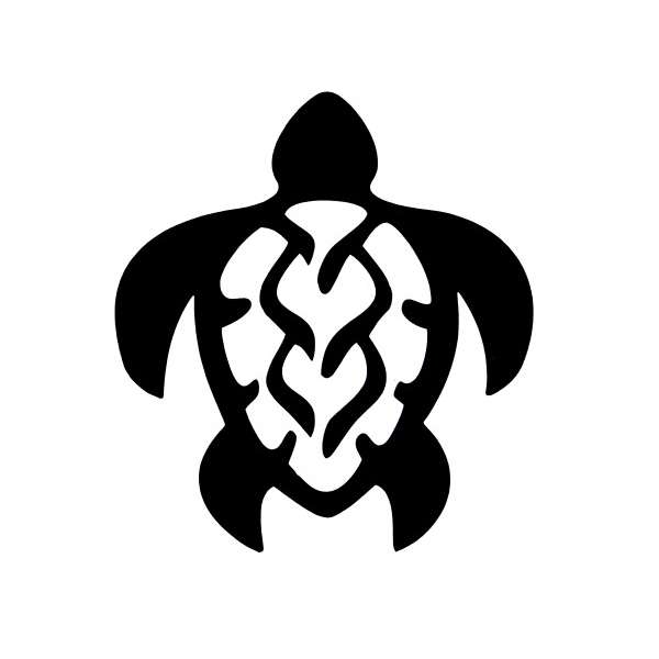 A44 Hawaii Turtle