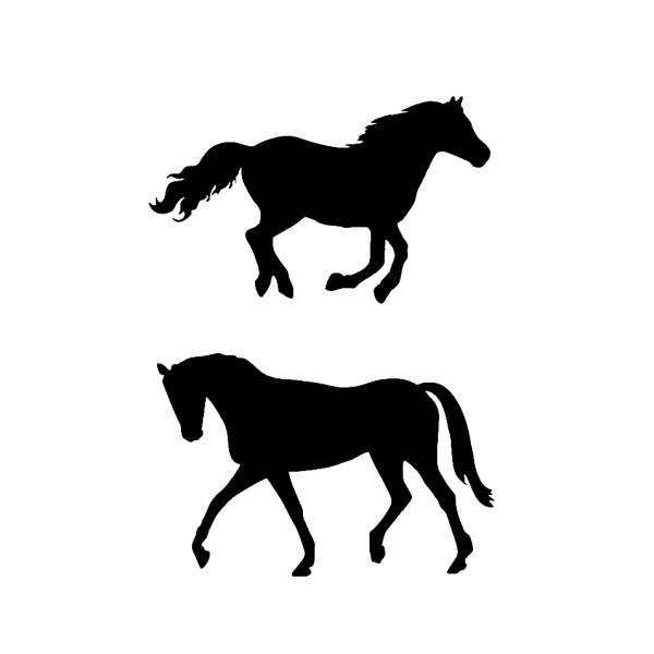 Duo stencil paard